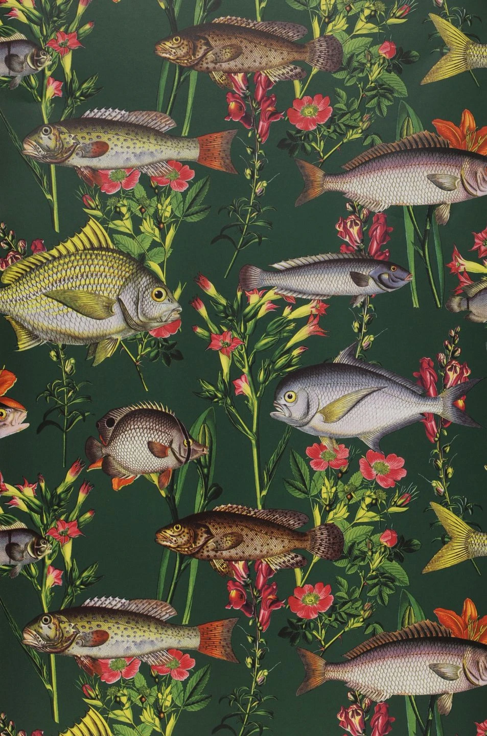 Tapete Pantea Dunkelgrün 1 Tapete Pantea Dunkelgrün