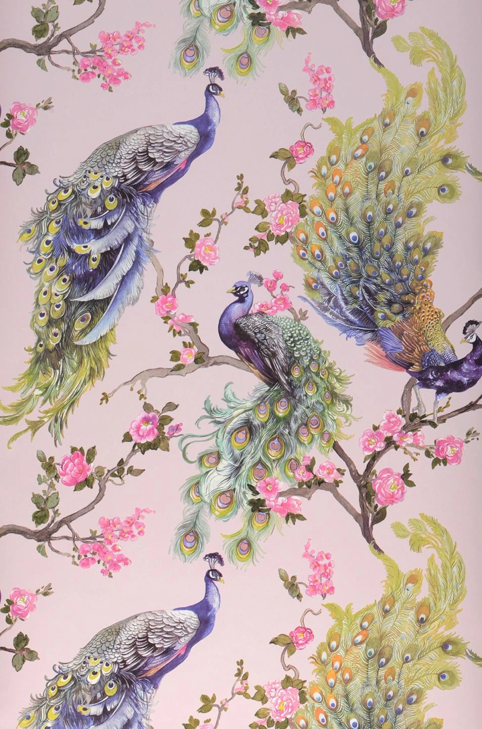 Tapete Maribor Zartrosa 1 Tapete Maribor Zartrosa