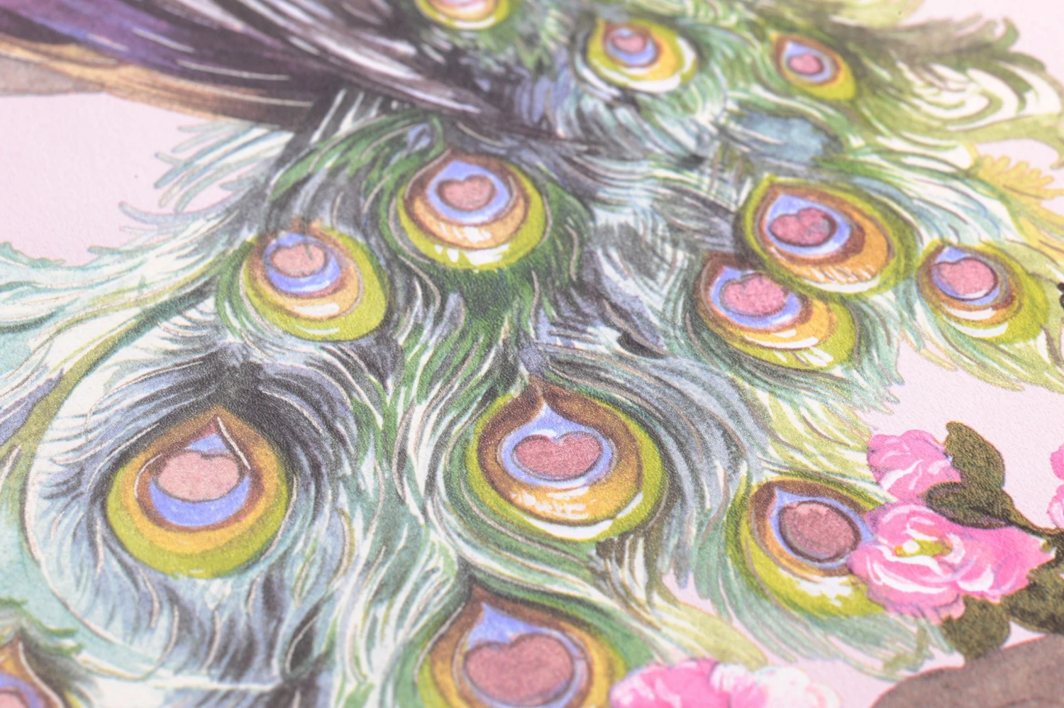 Tapete Maribor Zartrosa 2 Tapete Maribor Zartrosa – Bild 2