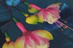 Tapete Zoe Schwarzblau 6 Tapete Zoe Schwarzblau -Tapetengeschäft 181171 B Zoe 2880x1440