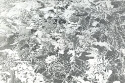 Tapete Lucinda Silber -Tapetengeschäft 181422 B Lucinda 2880x1440