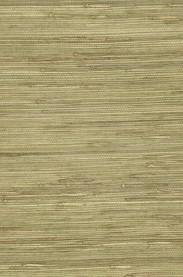 Tapete Grasscloth 01 Blassgrün 2 Tapete Grasscloth 01 Blassgrün - Image 2