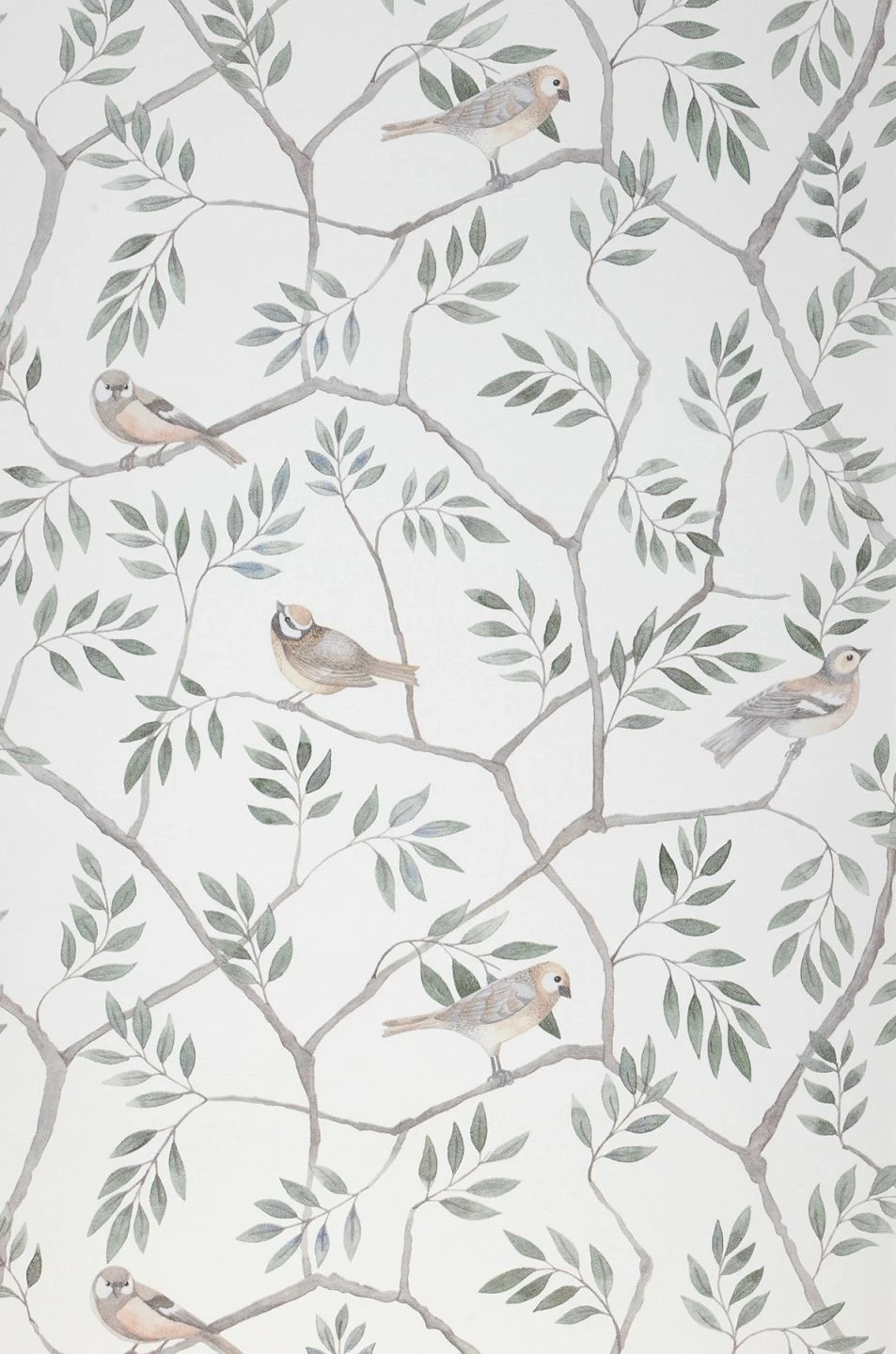 Tapete Operla Weiss 2 Tapete Operla Weiss - Image 2