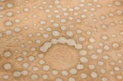 Tapete Mawe Braunbeige -Tapetengeschäft 325108 B Mawe 2880x1440