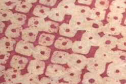 Tapete Dakini Bordeaux -Tapetengeschäft 325111 B Dakini 2880x1440