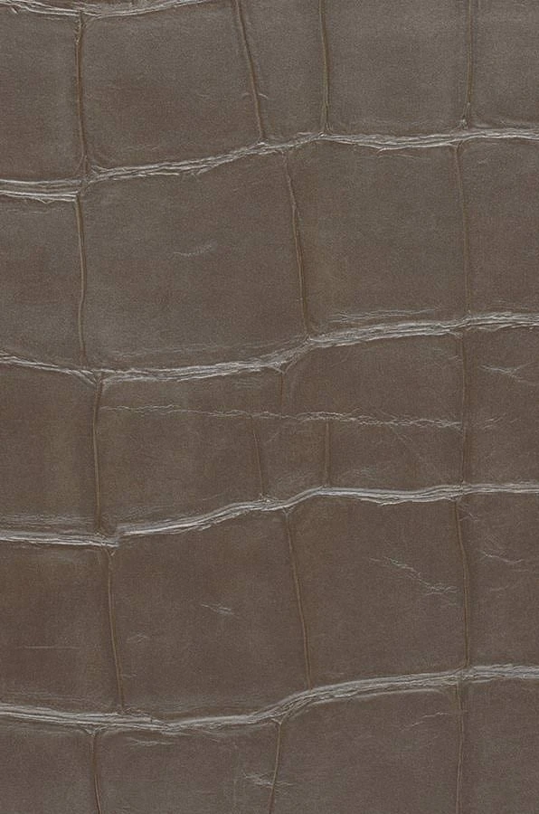 Tapete Croco 07 Braungrau 1 Tapete Croco 07 Braungrau