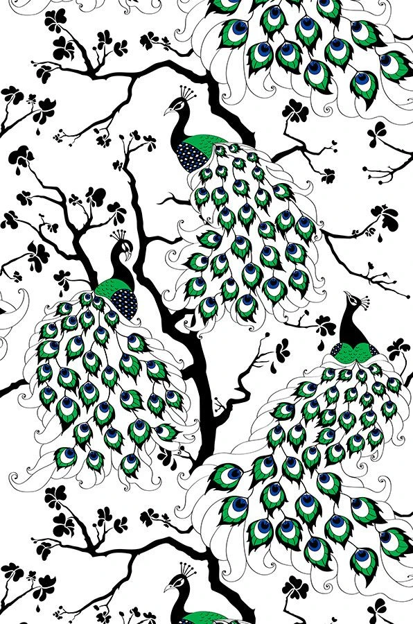 Tapete Peacock Grün 2 Tapete Peacock Grün - Image 2