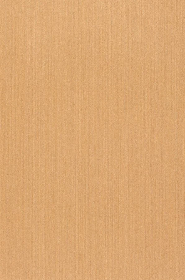 Tapete Warp Beauty 07 Hellbraunbeige 2 Tapete Warp Beauty 07 Hellbraunbeige – Bild 2