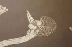 Ferm LIVING Tapete Birds Of Happiness Olivbraun -Tapetengeschäft 420281 B Birds of Happyness 2880x1440