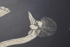 Ferm LIVING Tapete Birds Of Happiness Dunkelblau 6 Ferm LIVING Tapete Birds Of Happiness Dunkelblau -Tapetengeschäft 420282 B Birds of Happyness 2880x1440