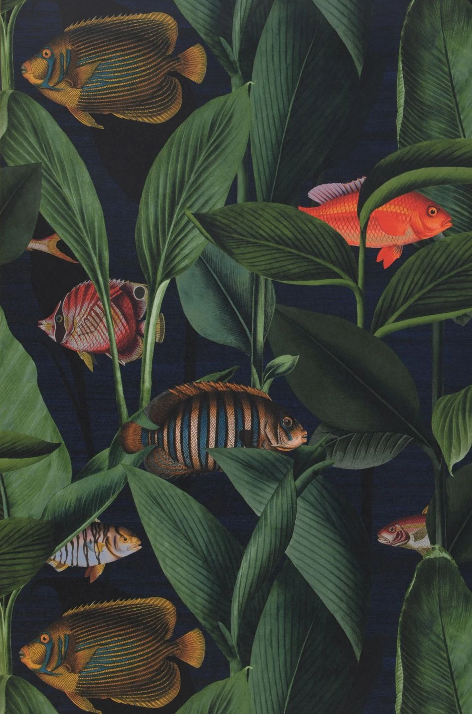 Tapete Acuario Dunkelblau 2 Tapete Acuario Dunkelblau - Image 2