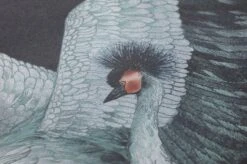 Tapete Kimora Schwarzblau -Tapetengeschäft 431702 B Kimora 2880x1440