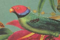 Tapete Mambo Blassgrün -Tapetengeschäft 431831 B Mambo 2880x1440