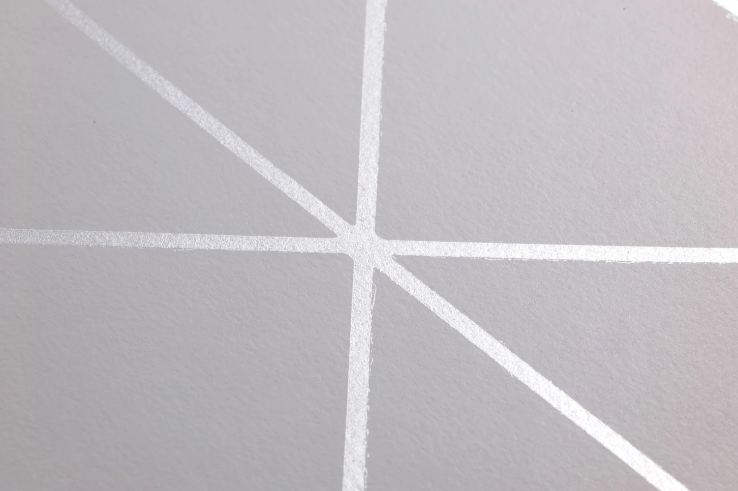 Tapete Biloba Hellgrau 2 Tapete Biloba Hellgrau – Bild 2