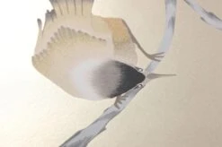 Tapete Francine Perlbeige -Tapetengeschäft 462431 B Francine 2880x1440