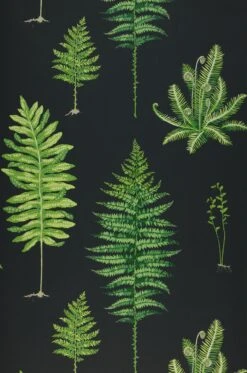 Tapete Fulvia Schwarz