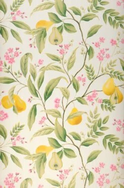 Tapetengeschäft 41 Tapetengeschäft -Tapetengeschäft 463091 A Ines 2880x1440