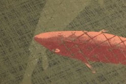 Tapete Immola Schilfgrün -Tapetengeschäft 625543 B Immola 2880x1440