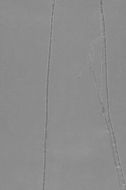 Tapete Big Crush 03 Grau 5 Tapete Big Crush 03 Grau -Tapetengeschäft 863223 B Big Crush 03 2880x1440