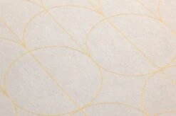 Tapete Havana Perlgold -Tapetengeschäft 864441 B Havana 2880x1440