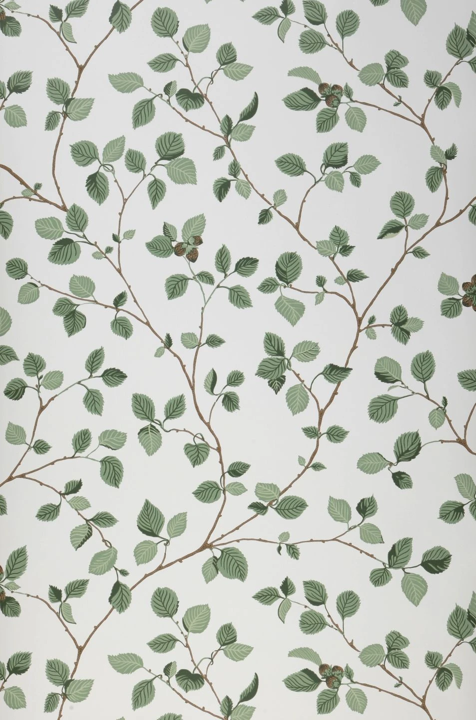 Tapete Hassel Blassgrün 2 Tapete Hassel Blassgrün - Image 2