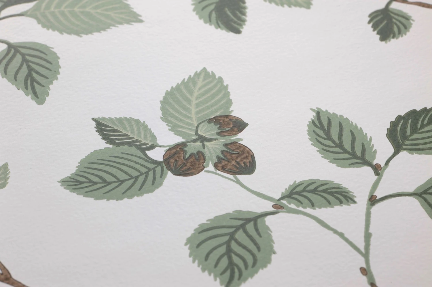 Tapete Hassel Blassgrün 3 Tapete Hassel Blassgrün - Image 3