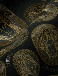 Versace Tapete Athene Schwarz 8 Versace Tapete Athene Schwarz -Tapetengeschäft Athene A 410991 2880x1440