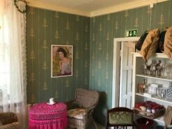 Tapete Danne Minttürkis -Tapetengeschäft Danne B 491032 2880x1440