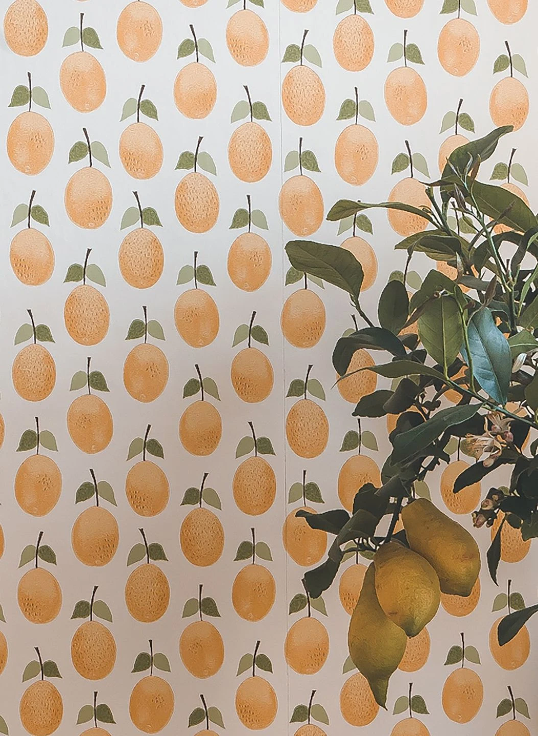 Tapete Henriette Goldgelb 1 Tapete Henriette Goldgelb