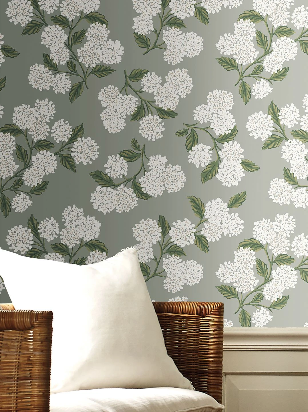 Tapete Hydrangea Grau 1 Tapete Hydrangea Grau