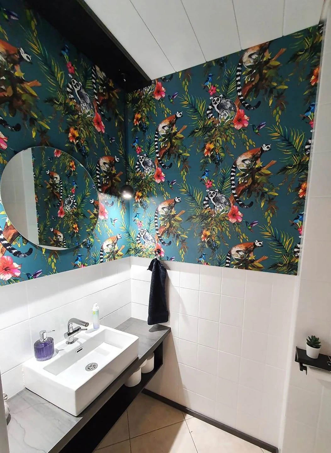 Tapete Madagascar Wasserblau 2 Tapete Madagascar Wasserblau - Image 2