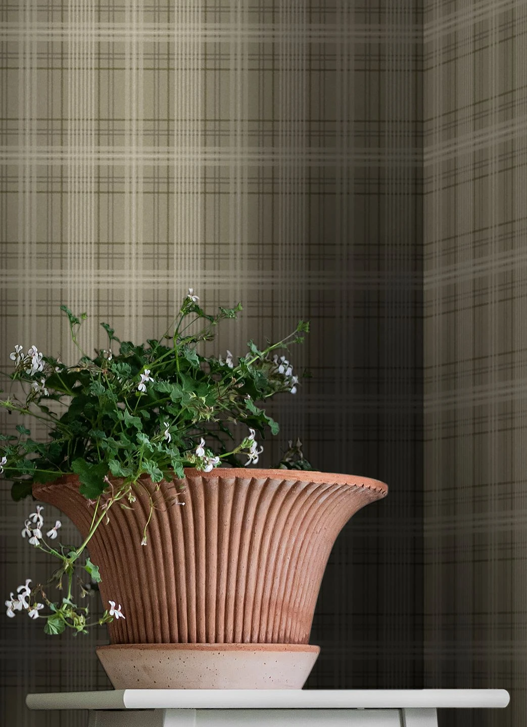 Tapete Malte Olivgrau 5 Tapete Malte Olivgrau – Bild 5