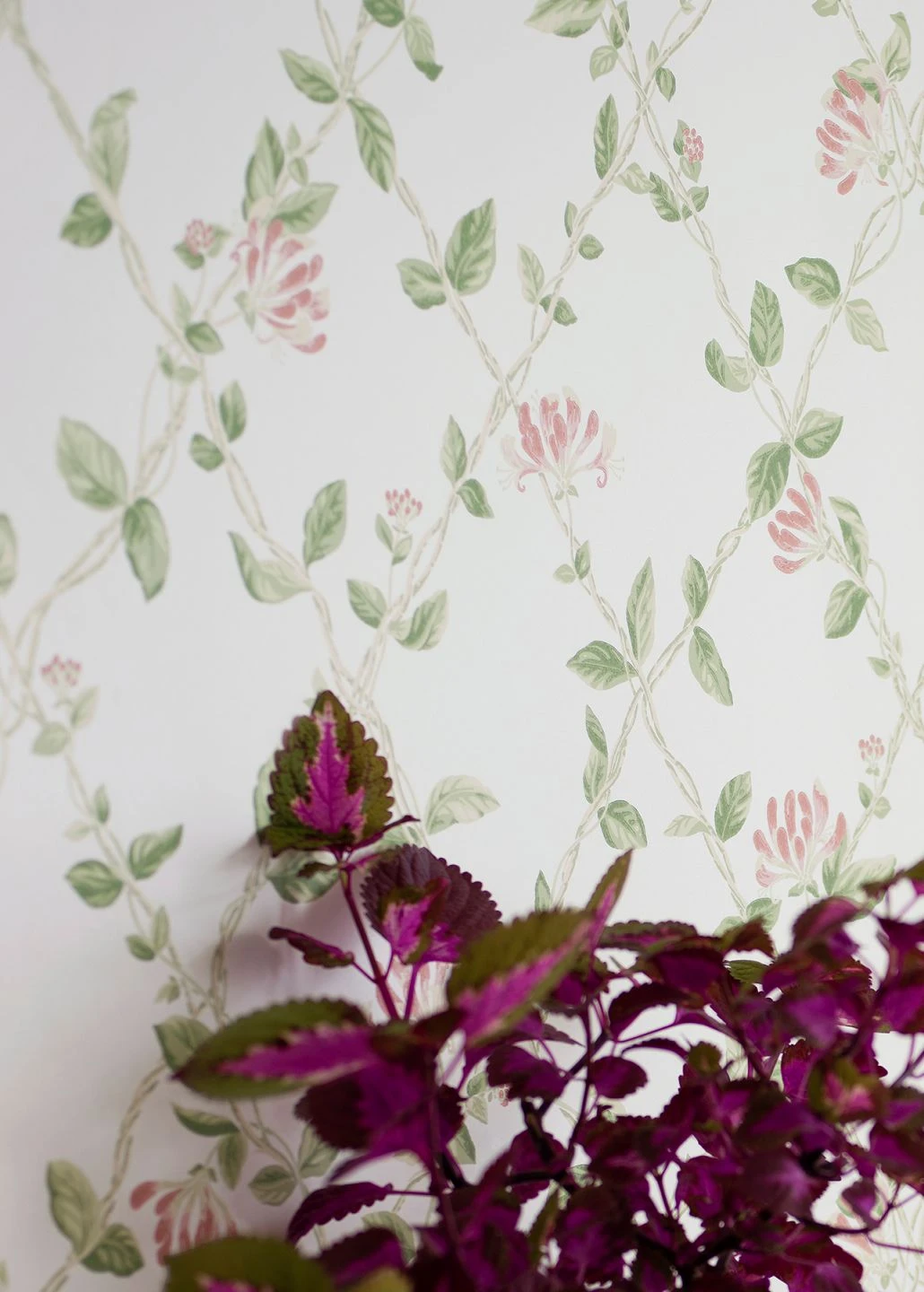 Tapete Midori Weiss 1 Tapete Midori Weiss