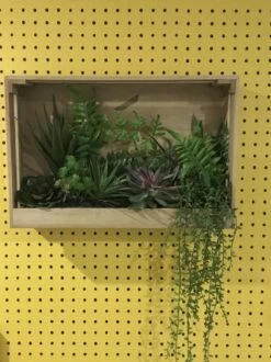 Tapete Nala Goldgelb -Tapetengeschäft Nala K 835152 2880x1440