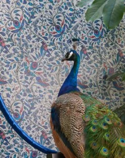 Tapete Rousseau Blautöne -Tapetengeschäft Rubi B 745031 2880x1440