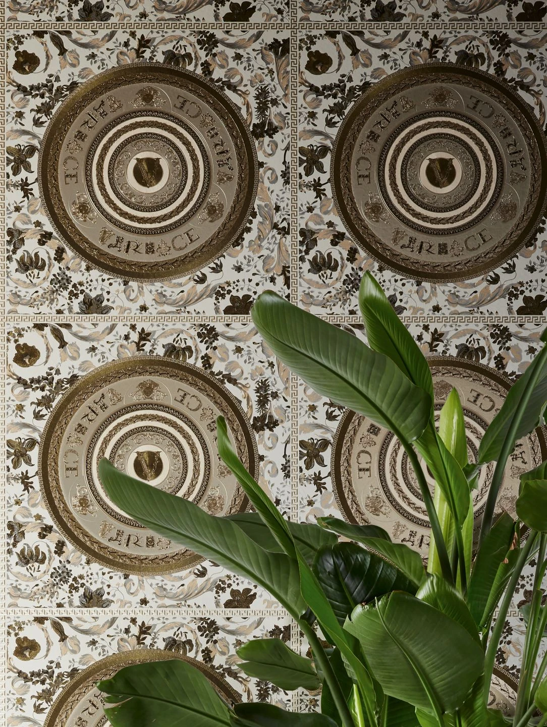 Versace Tapete Venus Brauntöne 1 Versace Tapete Venus Brauntöne