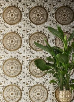 Versace Tapete Venus Brauntöne 9 Versace Tapete Venus Brauntöne -Tapetengeschäft Venus C 411013 2880x1440