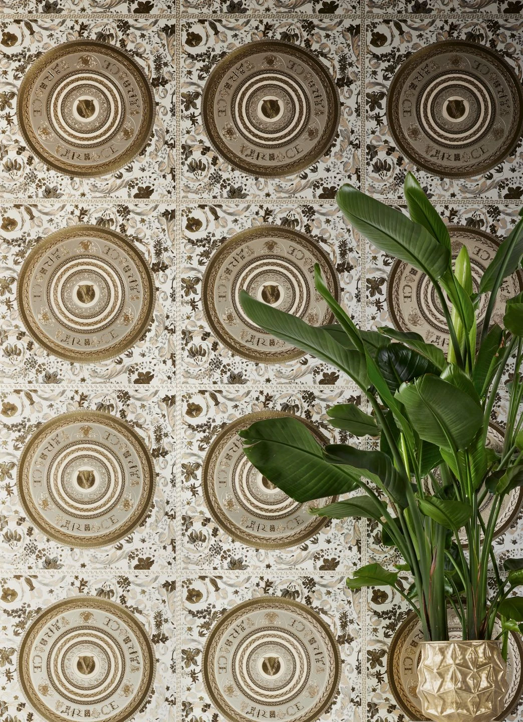 Versace Tapete Venus Brauntöne 5 Versace Tapete Venus Brauntöne - Image 5