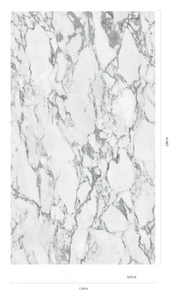 Wandbild White Marble Grauweiss -Tapetengeschäft White Marble C 390791 2880x1440